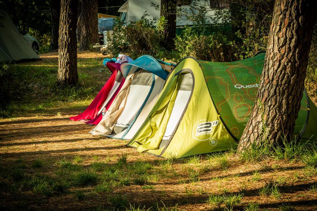 Camping La Sousta**** Remoulins Buitenkant foto