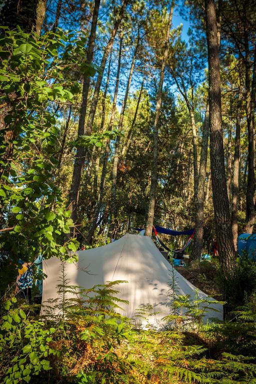 Camping La Sousta**** Remoulins Buitenkant foto