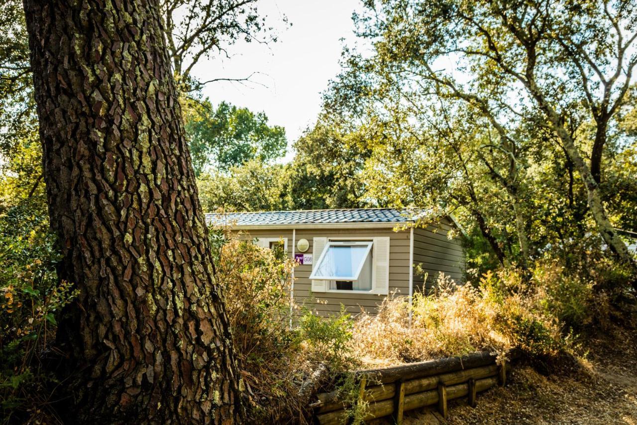 Camping La Sousta**** Remoulins Buitenkant foto